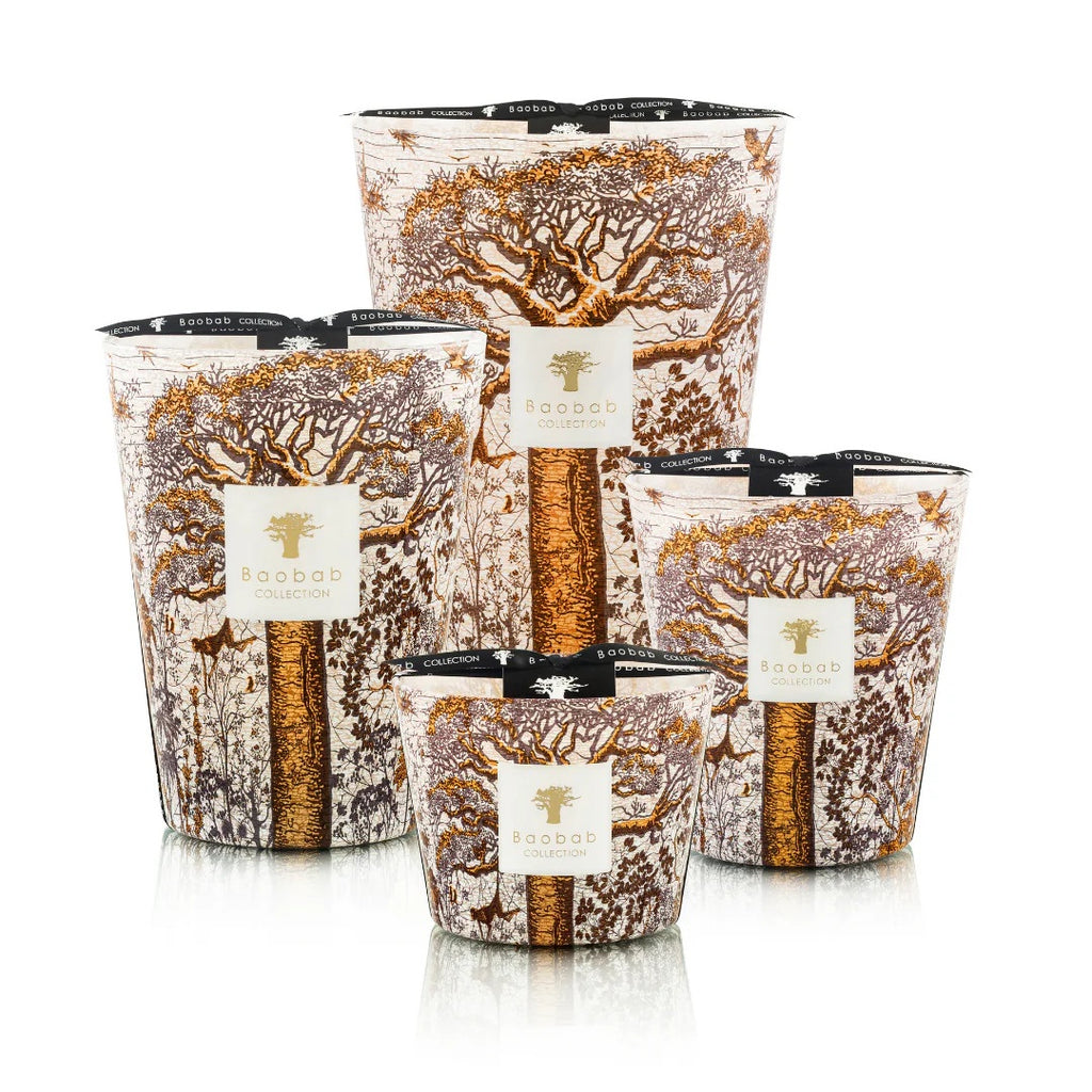 Baobab Candle / Sacred Trees Dualla