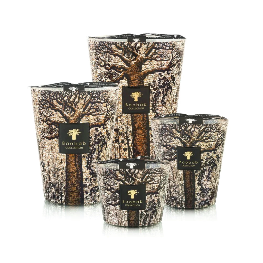 Baobab Candle / Sacred Trees  Morondo