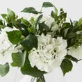 Hydrangea Mix In Vase / White