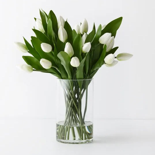 Tulip Mix In Vase / White