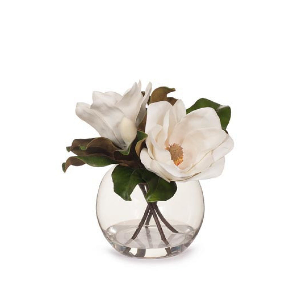 Magnolia in Ball Vase