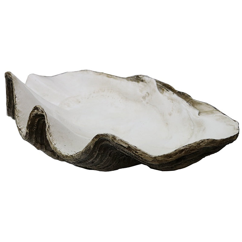 Oversized Clam Shell / Natural